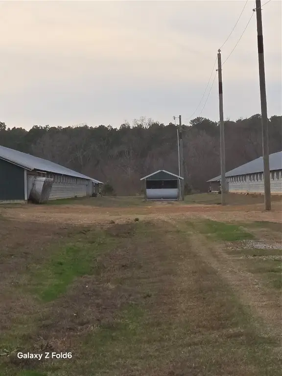 5589 Orchid Road, Ore City, TX 75683 - #1