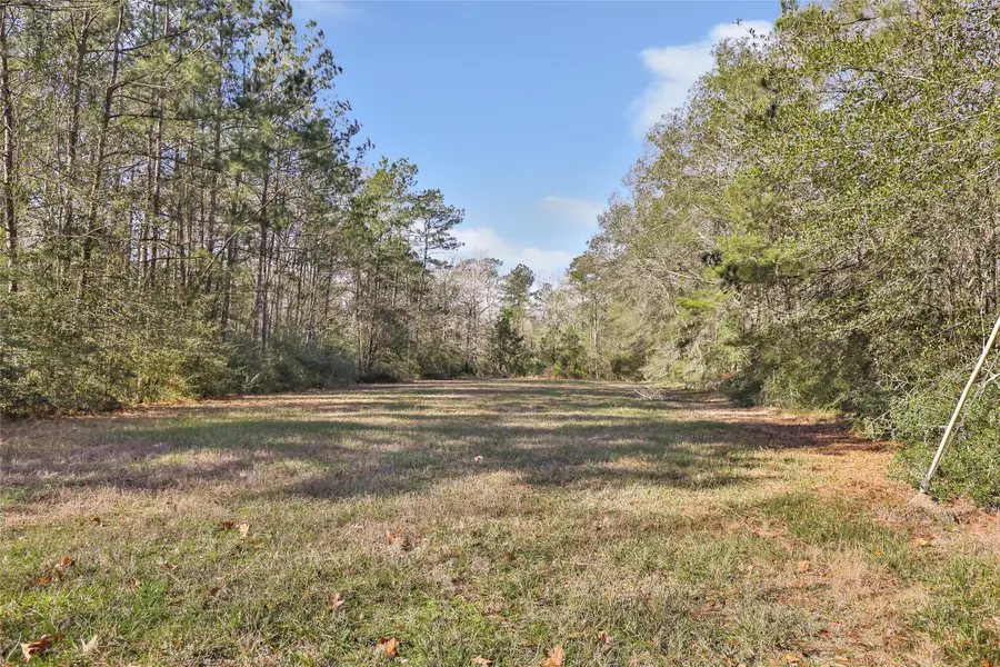 21879 Roberts Lane, New Caney, TX 77357 - Image #2