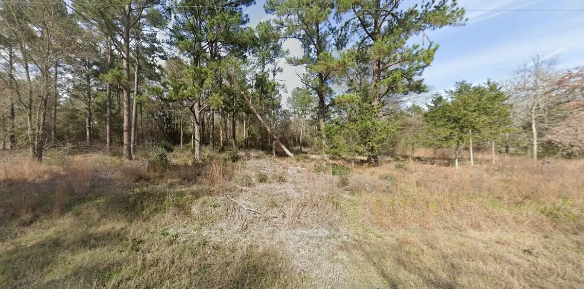 2699 County Road 144, Bedias, TX 77831 - #1