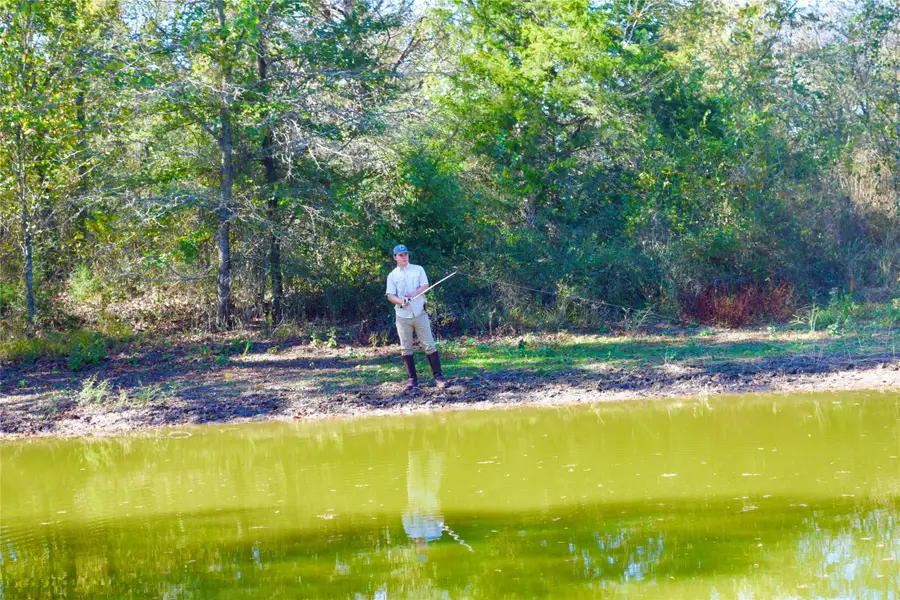 0 Lcr 258, Mexia, TX 76667 - Image #3