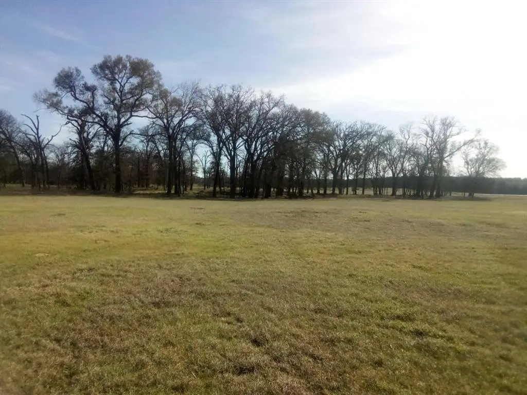 TR 87 County Road 231, Centerville, TX 75833 - Image #1