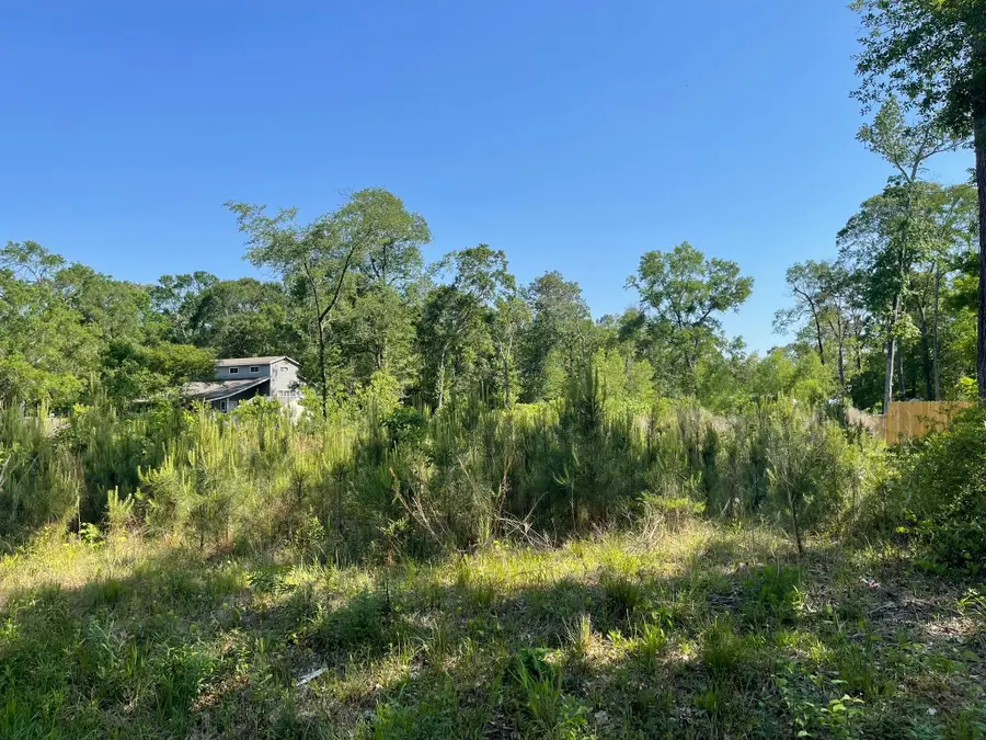 373 County Rd. Kingpont Road Road, Splendora, TX 77372 - Image #2
