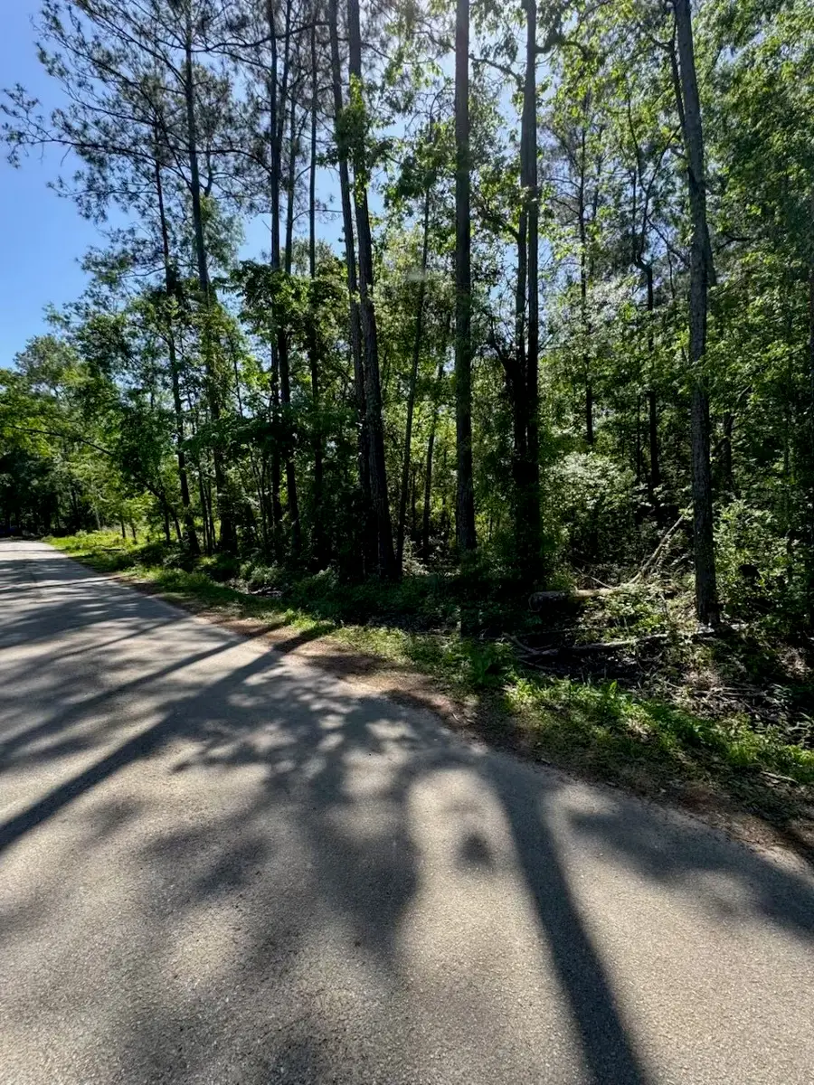 166 County Road 3475, Cleveland, TX 77327 - Image #2