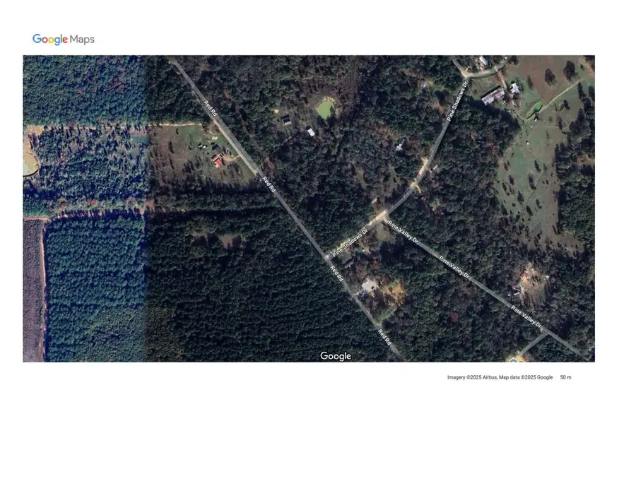 0 Pine Shadows Drive, Shepherd, TX 77371 - Image #2