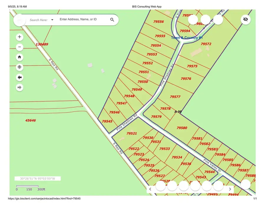 0 Pine Shadows Drive, Shepherd, TX 77371 - Image #3
