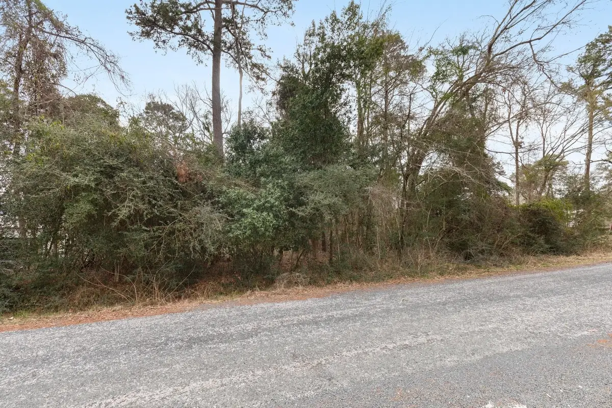Lot 48 Sunset Drive, Livingston, TX 77351 - #1