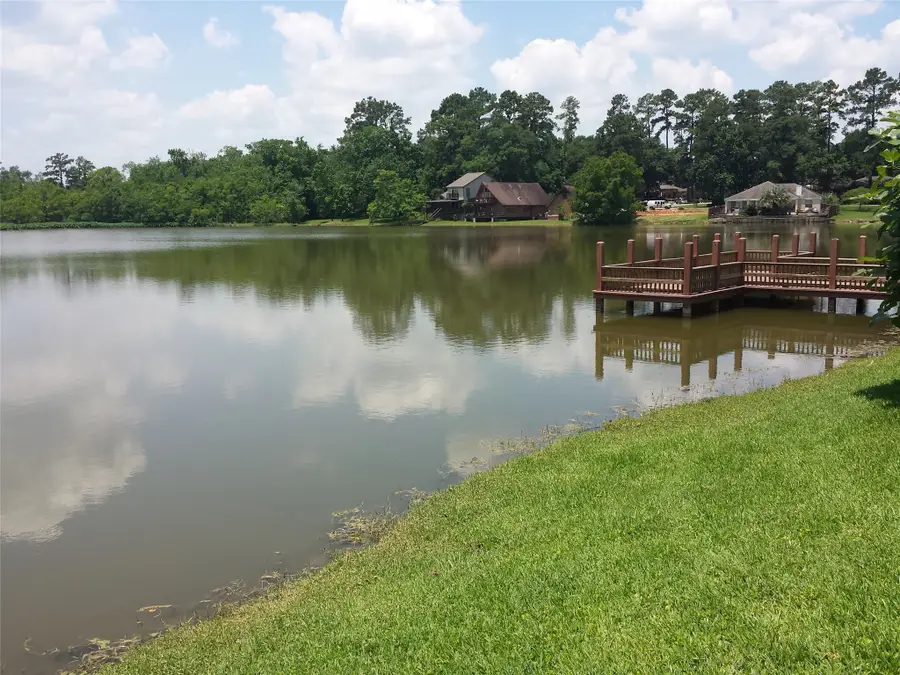 10938 Seibel Lane, Montgomery, TX 77356 - #2