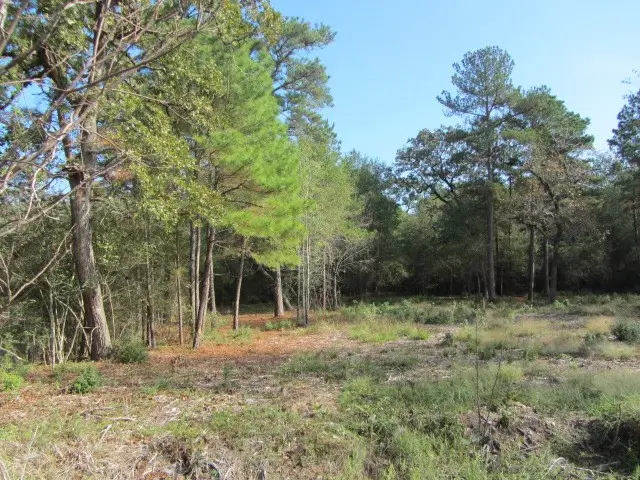 TBD Tomahawk Circle, Huntsville, TX 77320 - Image #2