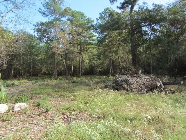 TBD Tomahawk Circle, Huntsville, TX 77320 - Image #3