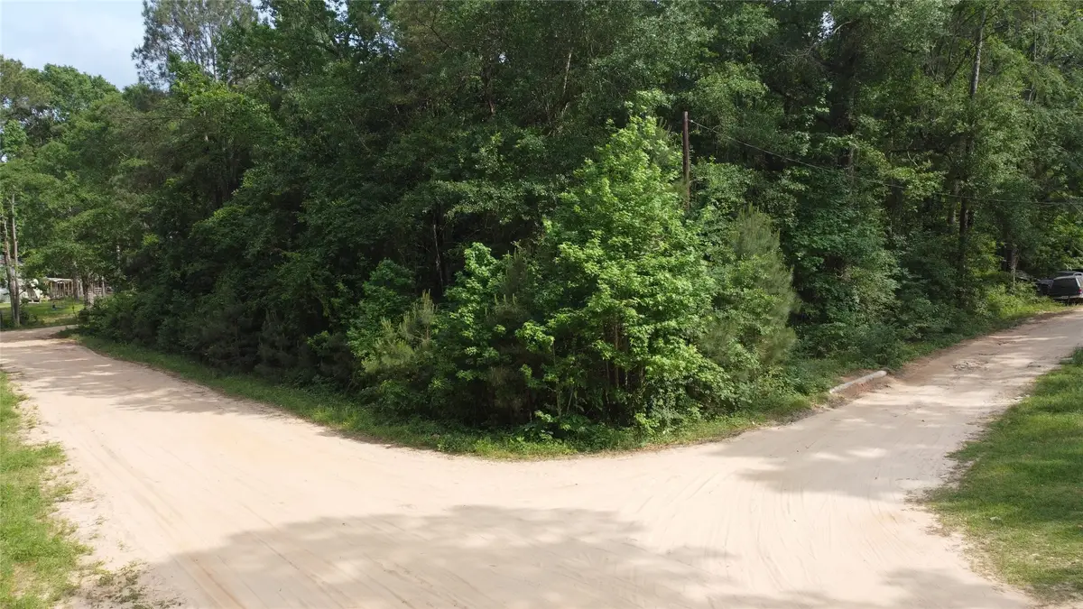 TBD Blue Quail Drive, Coldspring, TX 77331 - Image #1