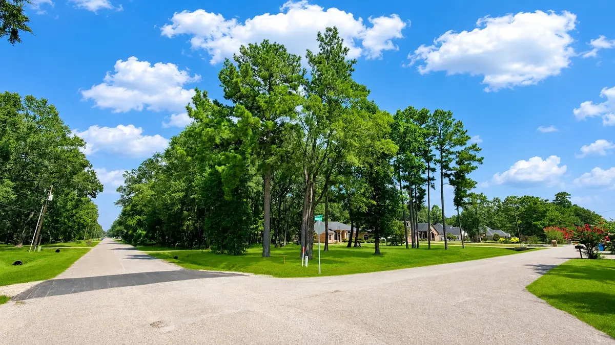 22857 Weser Drive, Porter, TX 77365 - #1