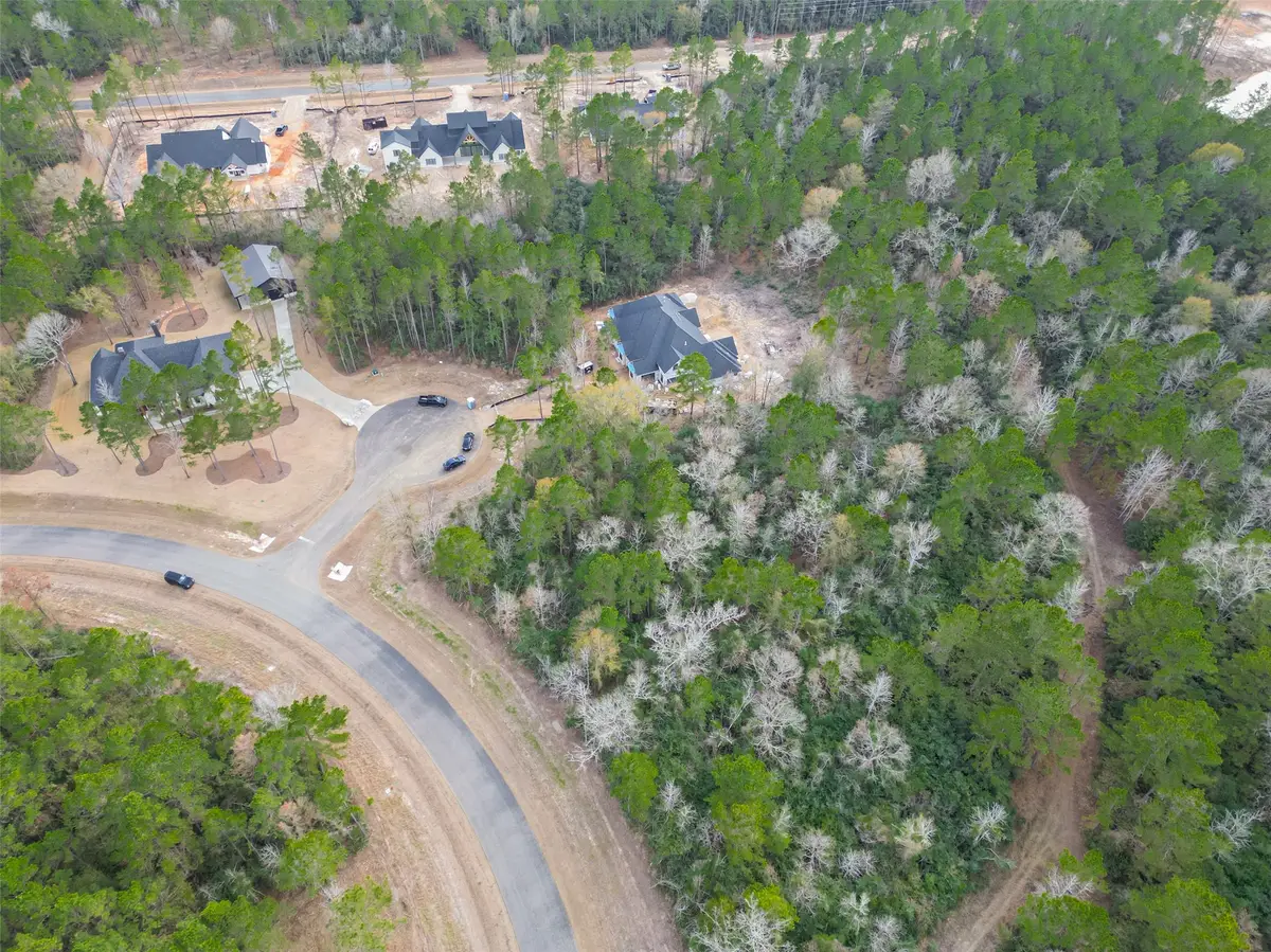 4908 Sierra Blanca Court, Montgomery, TX 77316 - Image #1