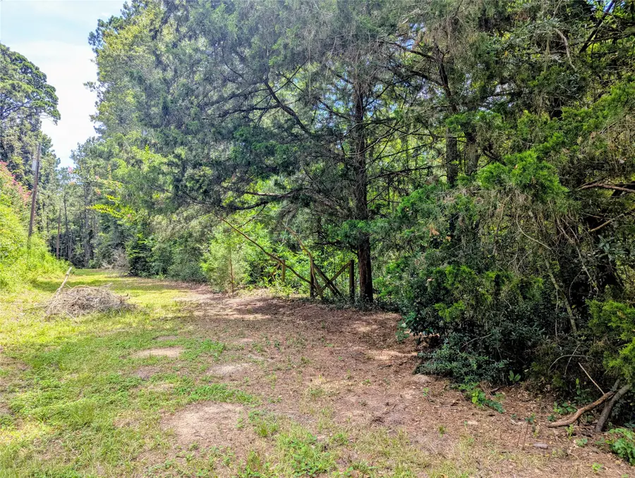 147 Ole Long Pull Road, Livingston, TX 77351 - #2