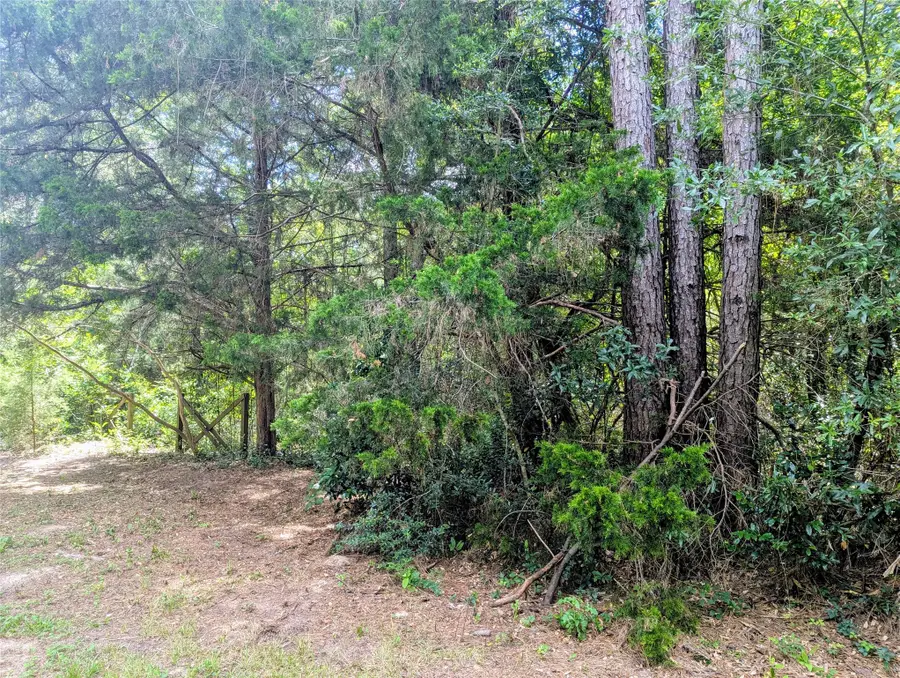 147 Ole Long Pull Road, Livingston, TX 77351 - #3