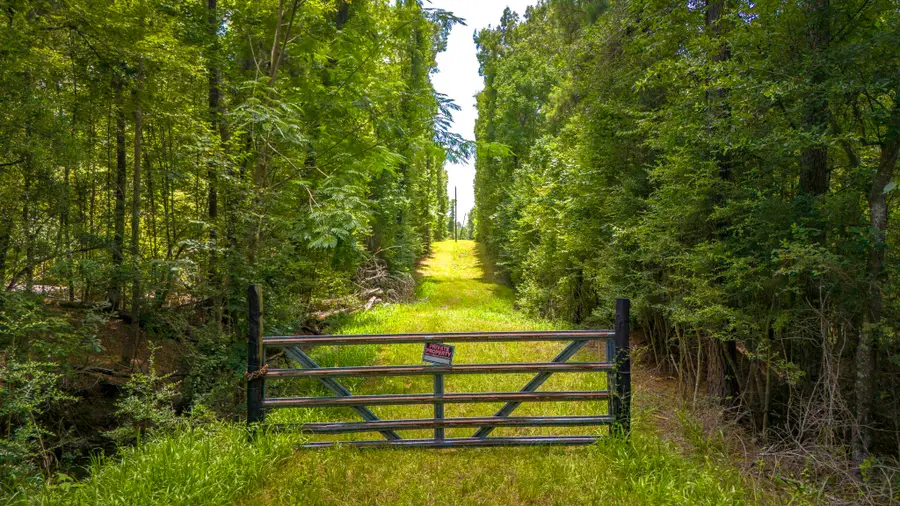 0000 Fm-942, Livingston, TX 77351 - #2