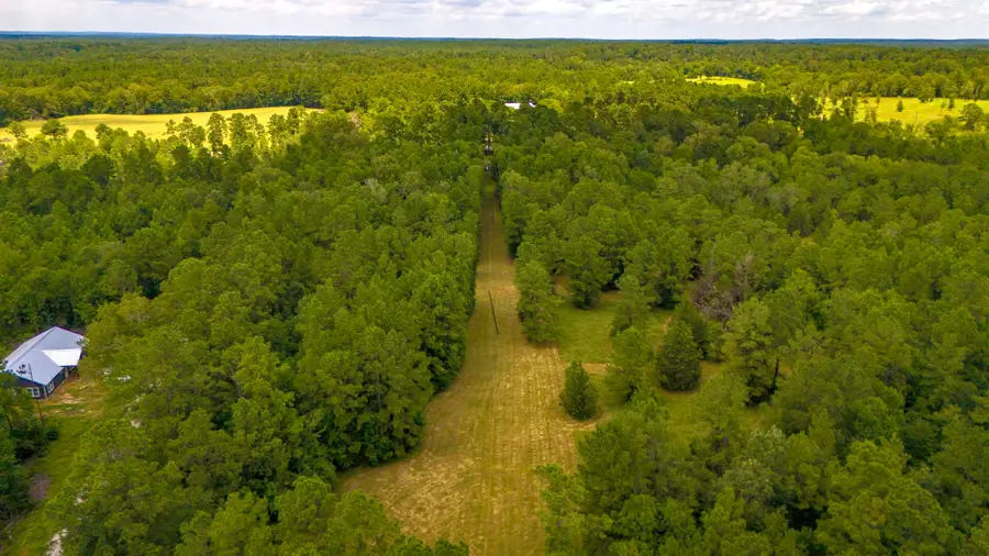 0000 Fm-942, Livingston, TX 77351 - #3