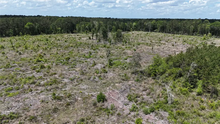 2600 County Road 4800, Warren, TX 77664 - #3