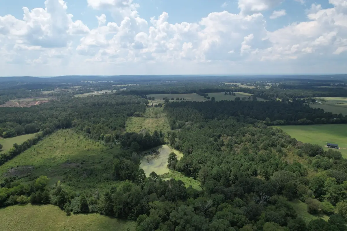 TBD W Fm 1662, Laneville, TX 75667 - #1