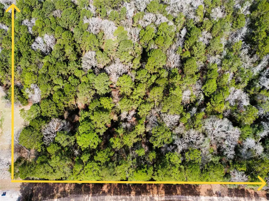 0 Old Little Road, Conroe, TX 77303 - #2