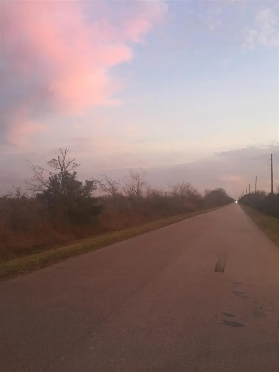 0 County Road 98, Manvel, TX 77578 - Image #2