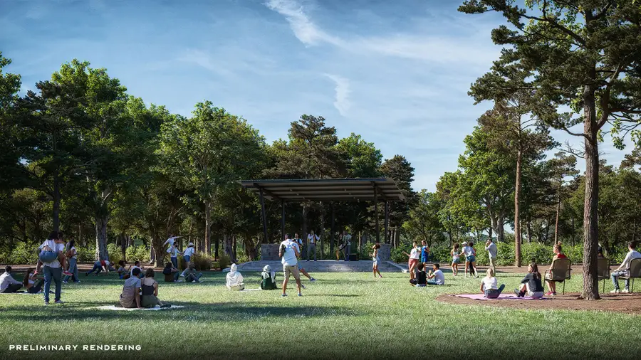 41658 Wendele Way, Montgomery, TX 77316 - #3