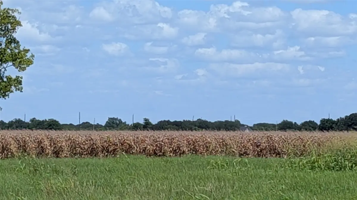 0000 Ward Bend Road, Sealy, TX 77474 - #1