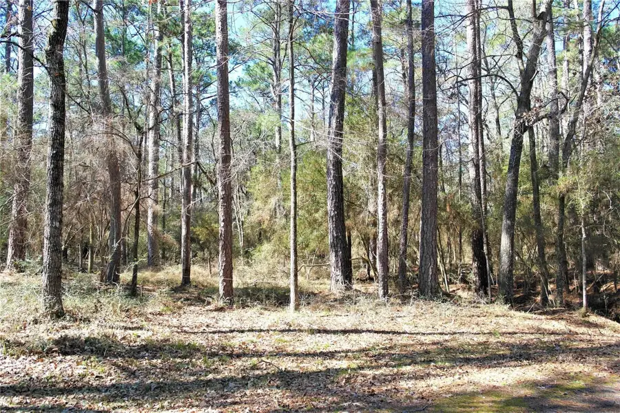 3 Magnolia Court, Trinity, TX 75862 - Image #3