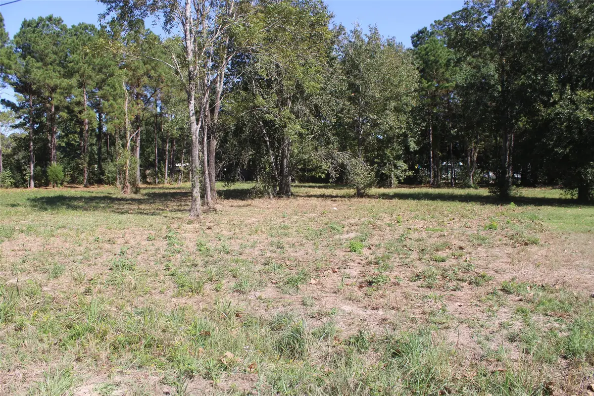 715 Dayna Lane, Sour Lake, TX 77659 - Image #1