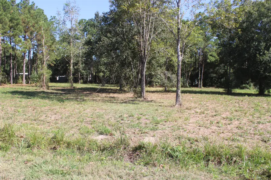 715 Dayna Lane, Sour Lake, TX 77659 - Image #2