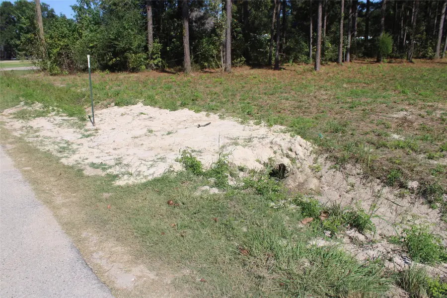 715 Dayna Lane, Sour Lake, TX 77659 - Image #3