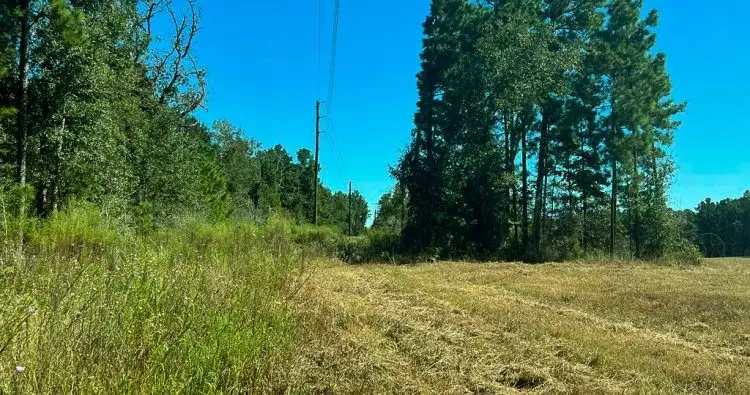 0014 Sh 249, Navasota, TX 77868 - #1