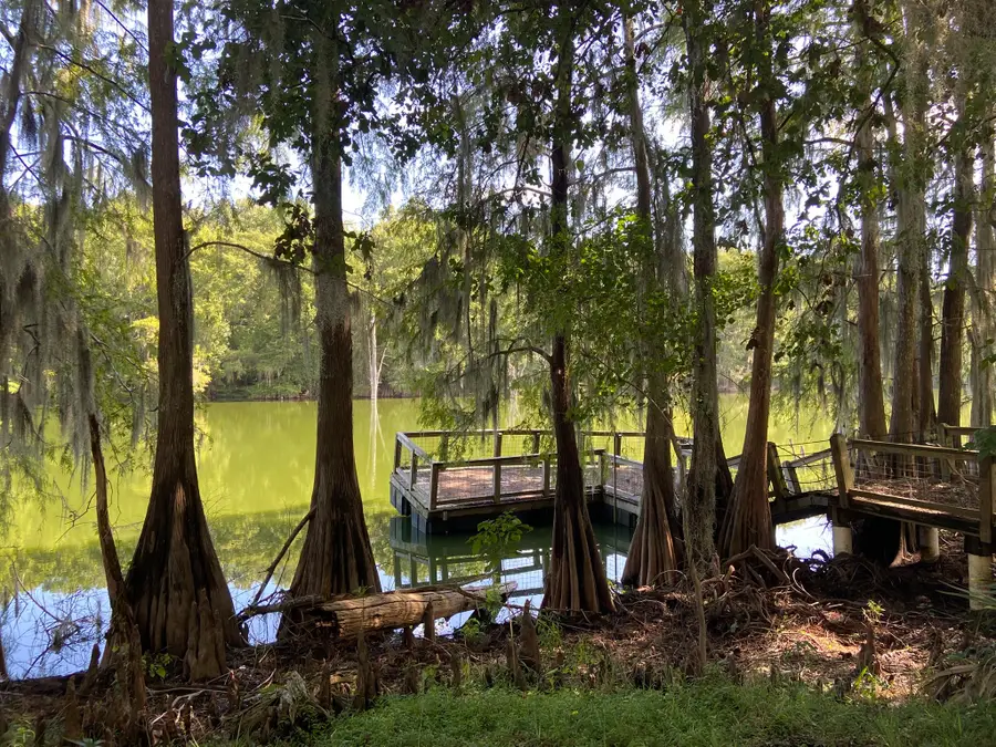 239 Ferguson Drive, Cleveland, TX 77327 - #3