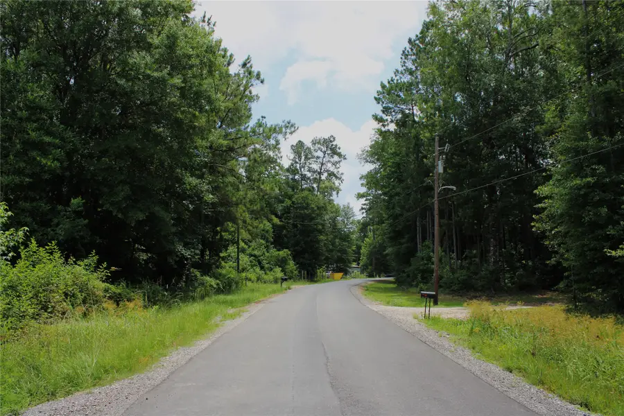 12425 Picos Road, Saratoga, TX 77585 - Image #2