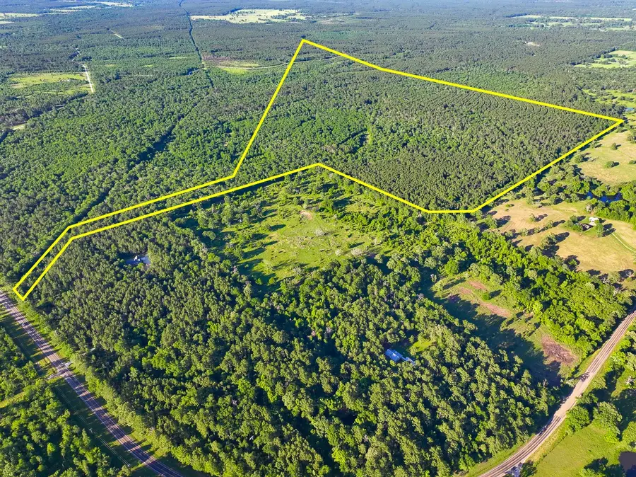 000 Fm 230, Lovelady, TX 75851 - Image #3