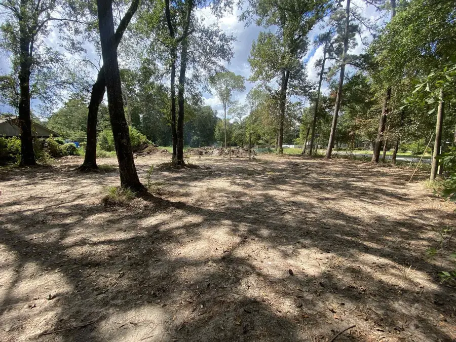 19626 Forest Dr W, New Caney, TX 77357 - #3