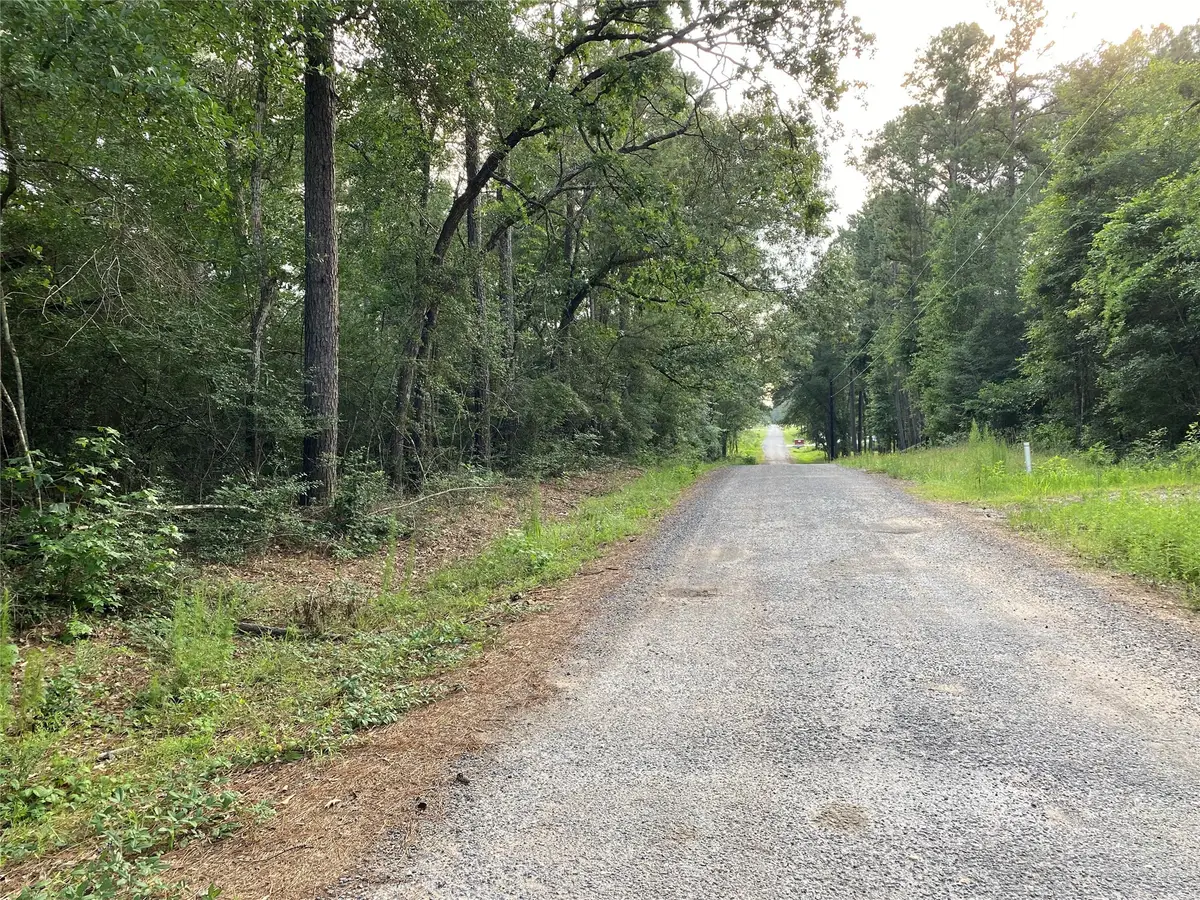 TBD Greenway Drive, Plantersville, TX 77363 - Image #1