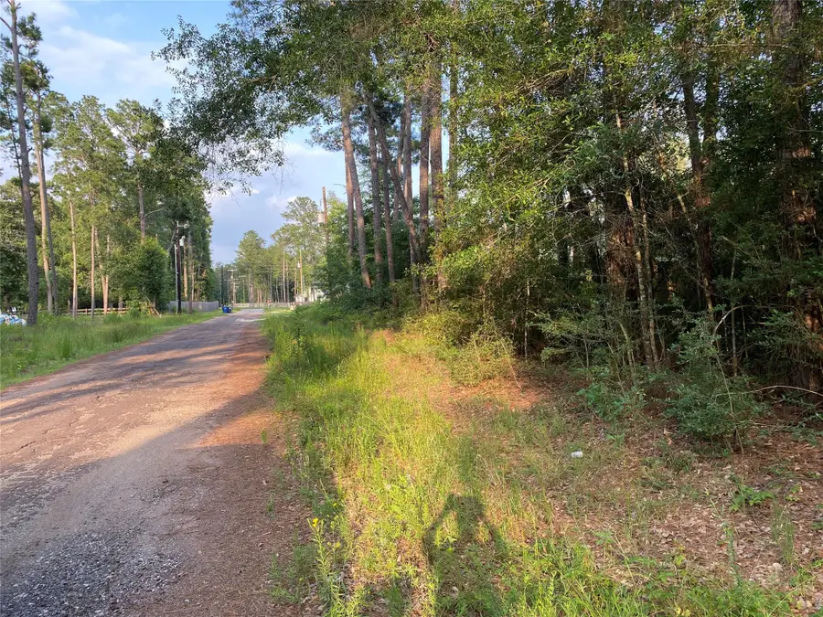 TBD Greenway Drive, Plantersville, TX 77363 - Image #2