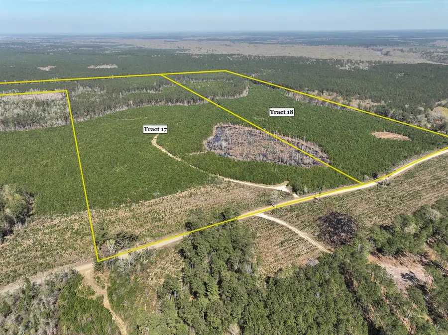 00 County Rd 4415, Spurger, TX 77660 - Image #2