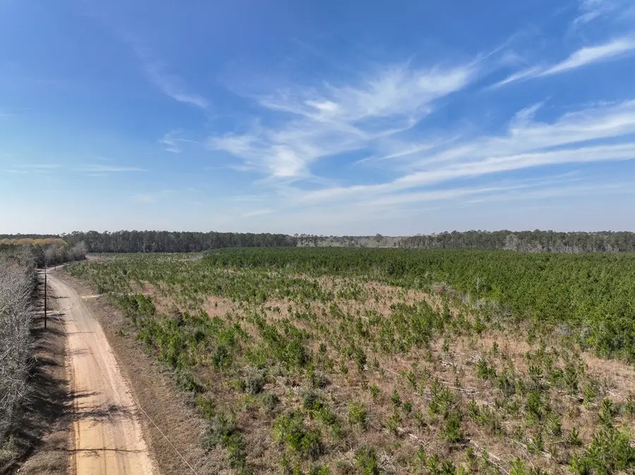 00 County Rd 4415, Spurger, TX 77660 - Image #3