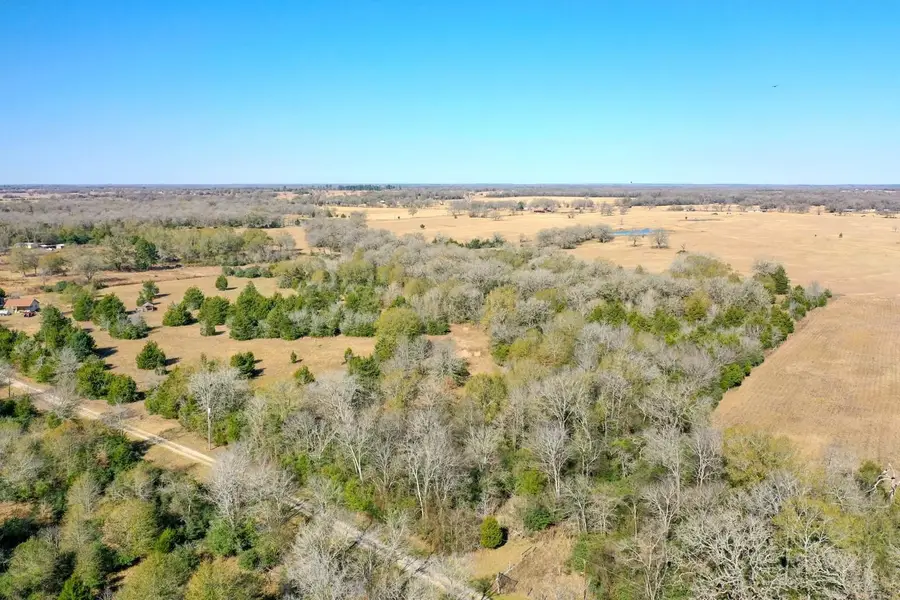TBD Manning Lane, Madisonville, TX 77864 - #3