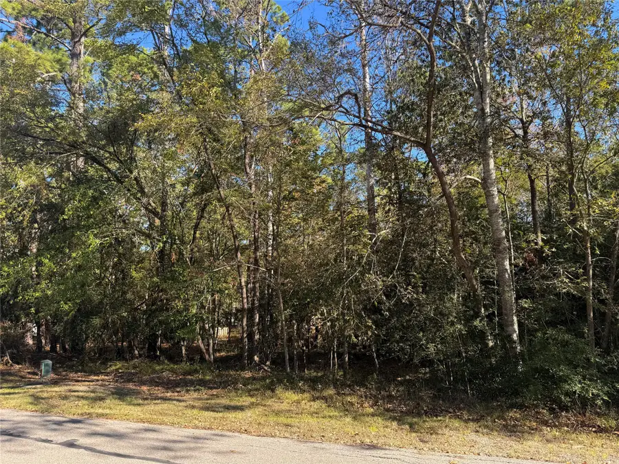 58 N Fairway Loop, Coldspring, TX 77331 - Image #2