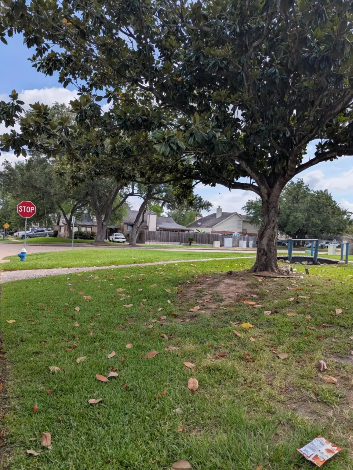 9103 Belle Glen Drive, Houston, TX 77099 - Image #1