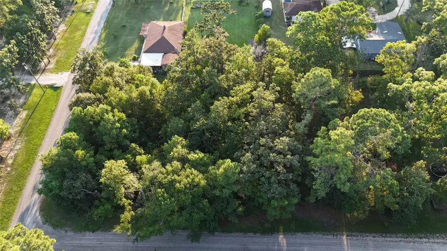 TBD Whiteside Drive, Onalaska, TX 77360 - #3