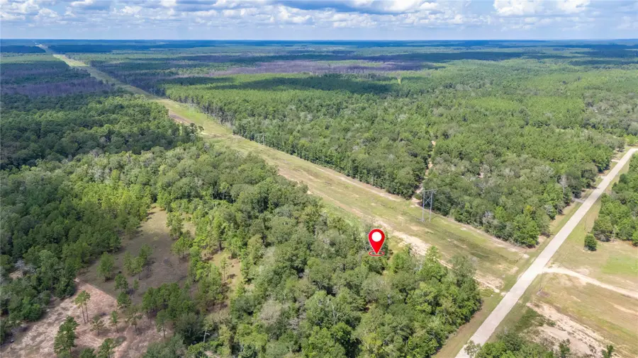 261 Big Buck Drive, Cleveland, TX 77328 - #2