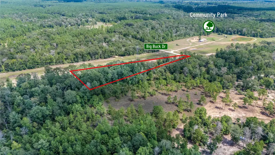 261 Big Buck Drive, Cleveland, TX 77328 - #3