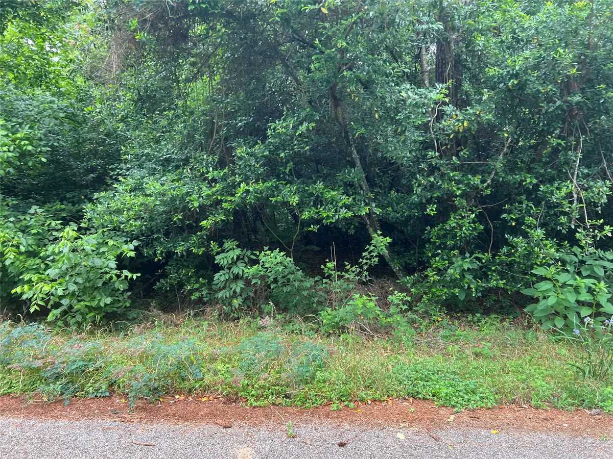 00 Rollingwood Loop, Conroe, TX 77303 - #1