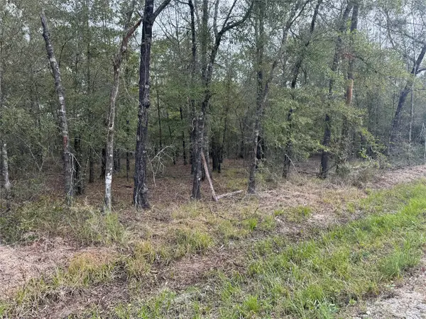TBD Private Road 8160, Lovelady, TX 75851