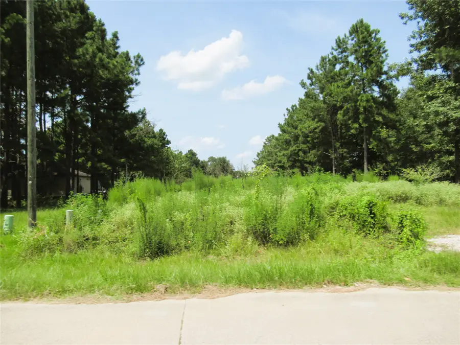 309 County Road 3405, Cleveland, TX 77327 - #2