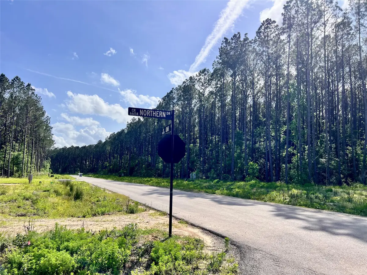 4261 Road 66126, Dayton, TX 77535 - #1