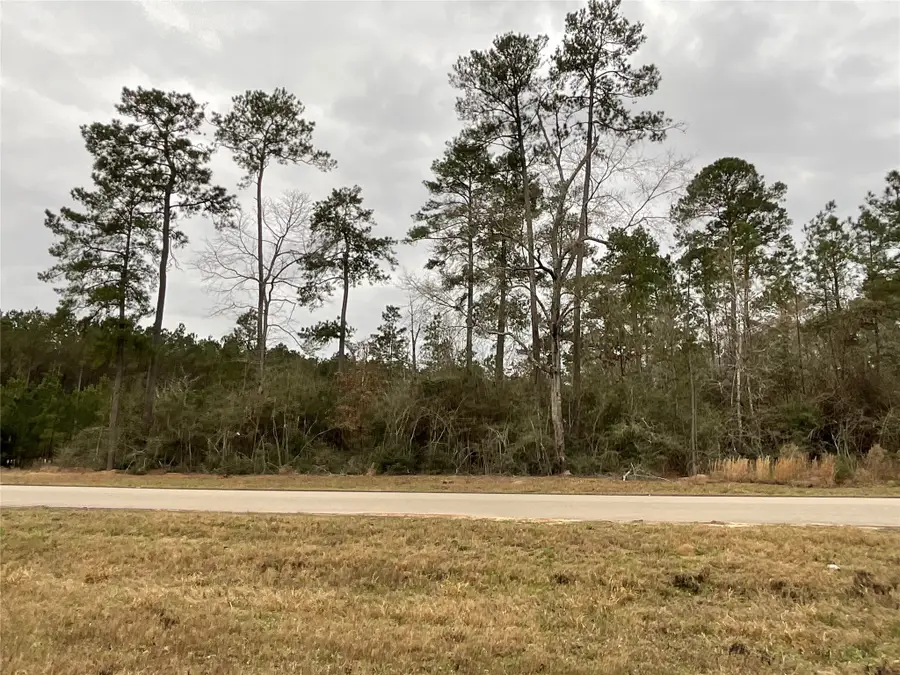 15877 Four Hills Road, Willis, TX 77378 - #2